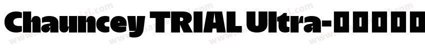 Chauncey TRIAL Ultra字体转换